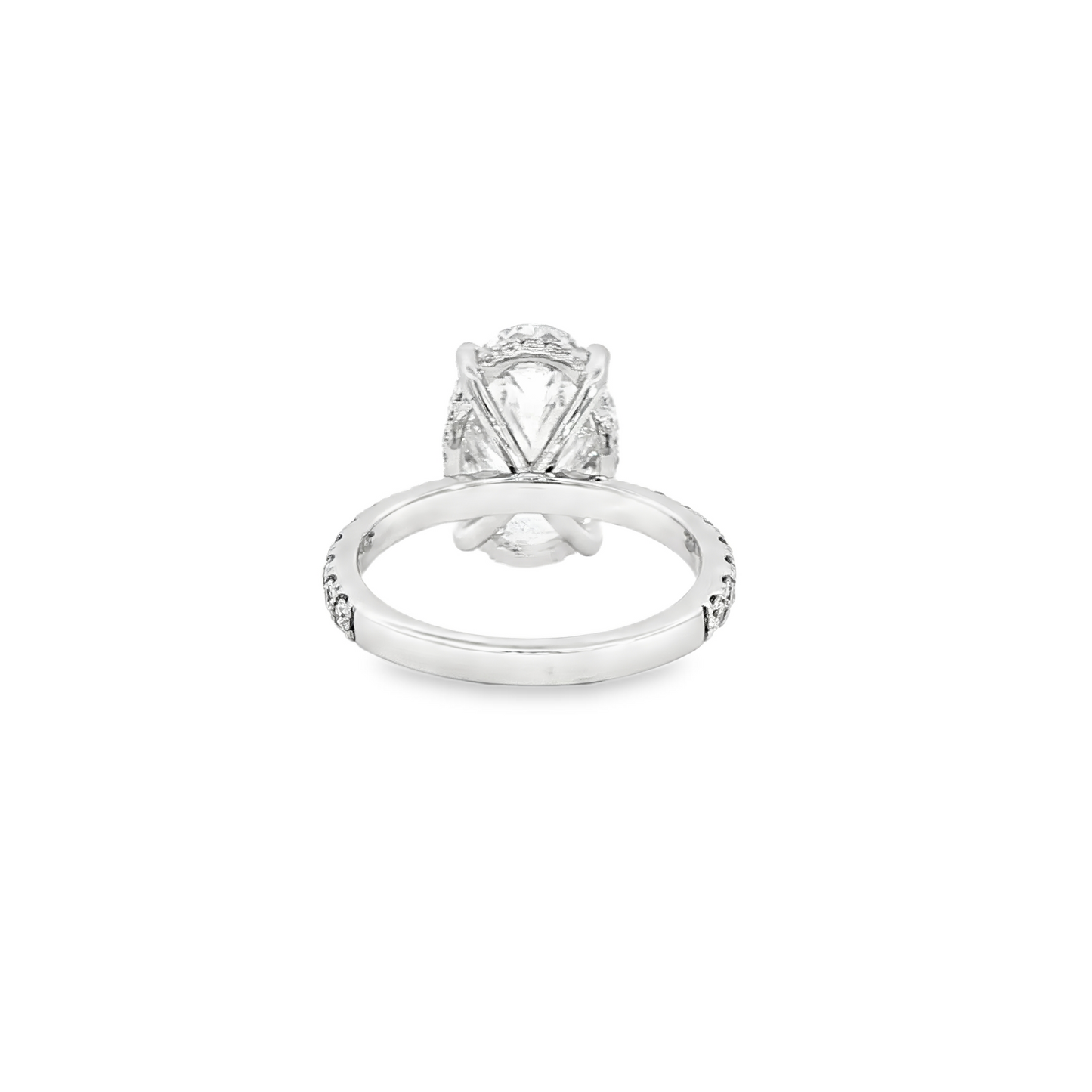 Custom Engagement Ring 3.88Ct Oval With 14K White Gold Hidden Halo And Diamond Mounting