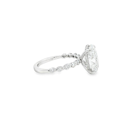 Custom 14K White Gold Oval Diamond With Single Prong Rounds And Hidden Halo Engagment Ring